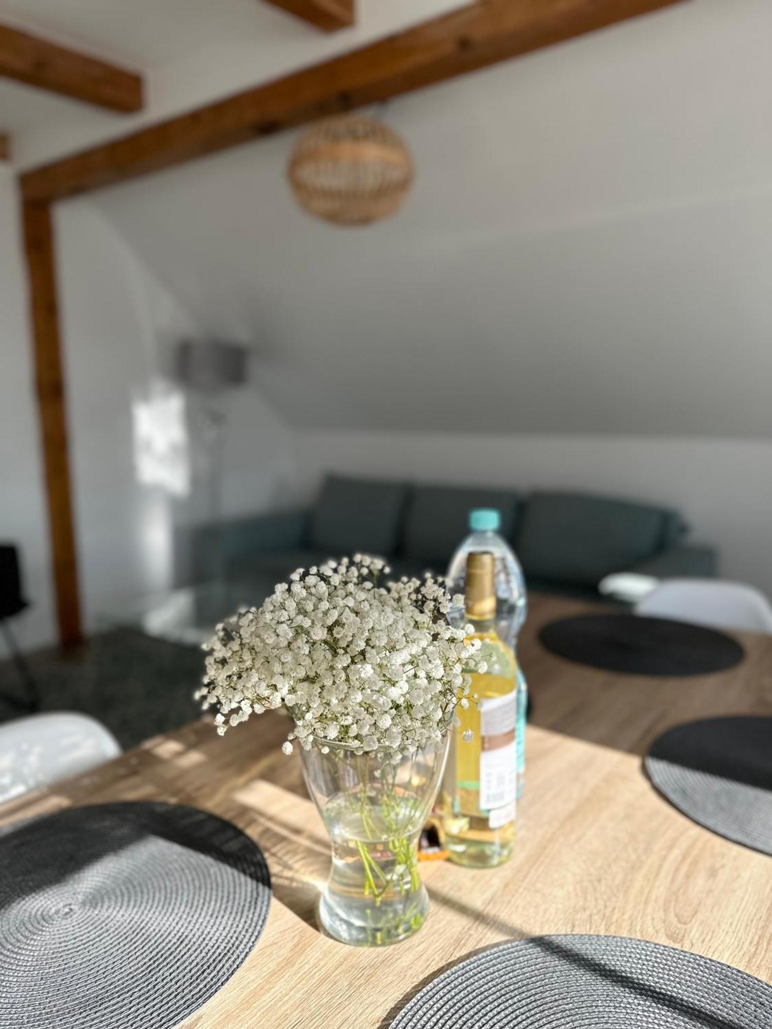 Klimatyczny Apartament Nr 8 Z Widokiem Na Gory Sowie Bielawa  Bagian luar foto